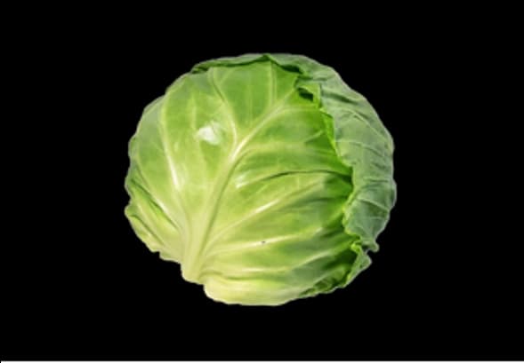 FRESH FLAT CABBAGE