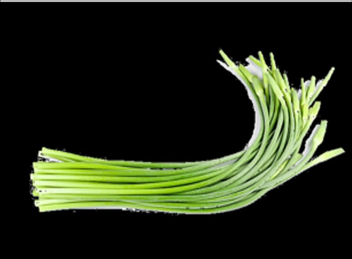 FRESH GARLIC SPROUTS