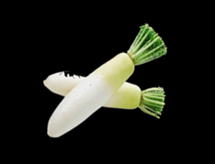 FRESH WHITE RADISH