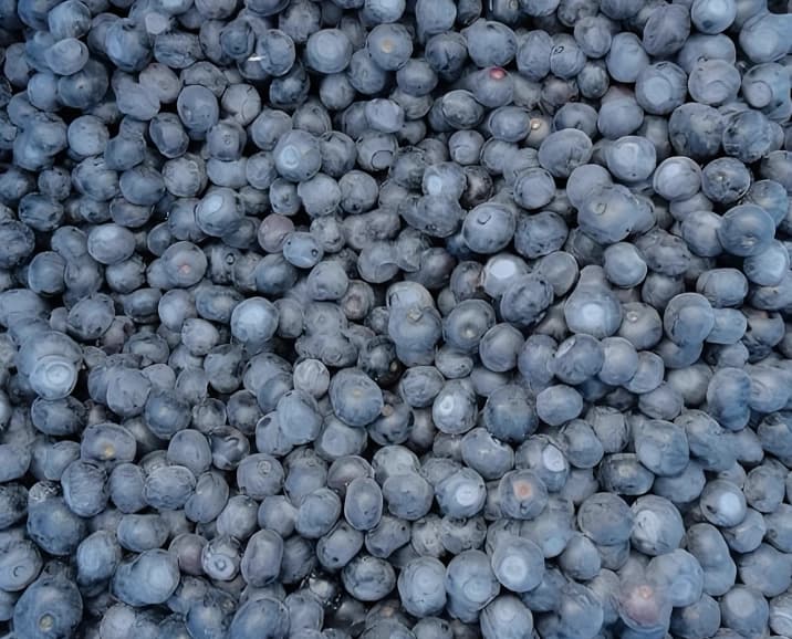 FROZEN BLUEBERRY