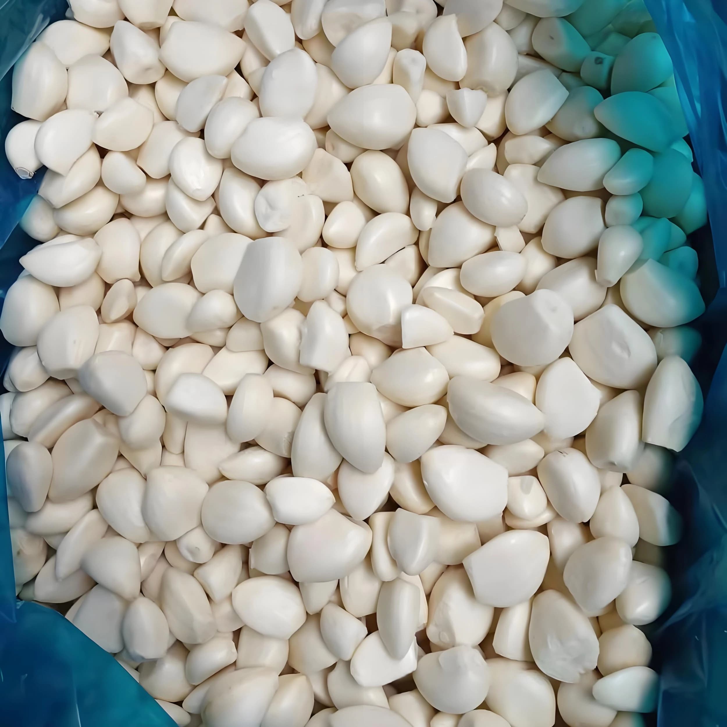 FROZEN PEELED GARLIC