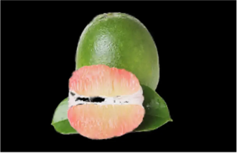 Pink Pomelo