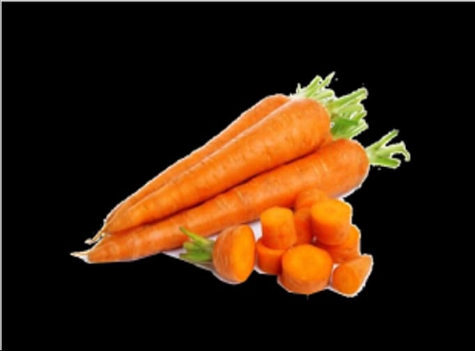 FRESH CARROT