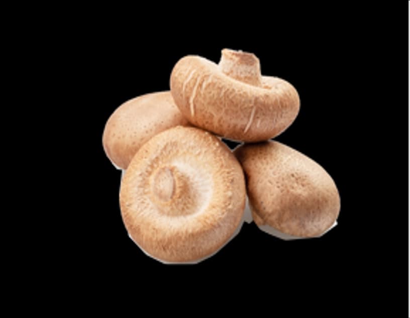 FRESH SHIITAKE MUSHROOM