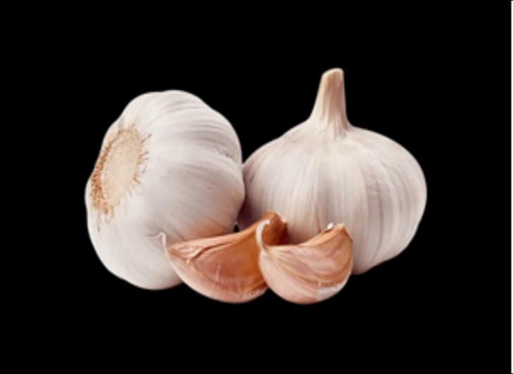 GARLIC