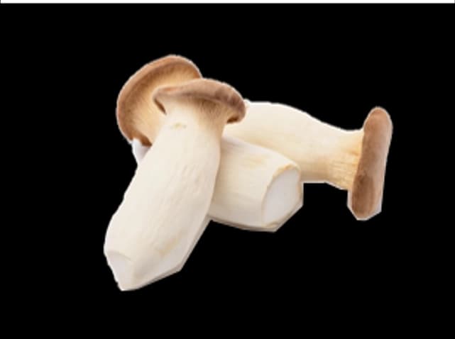 KING OYSTER MUSHROOM