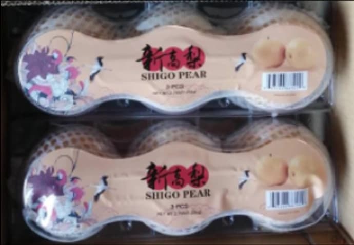 SHIGAO PEAR